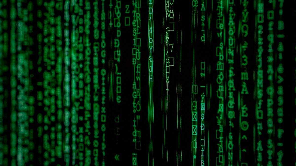 用电子魅魔AI进行AI聊天，支持哪些模型详解